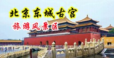 大鸡吧使劲操嫰逼高潮了视频18岁进入中国北京-东城古宫旅游风景区